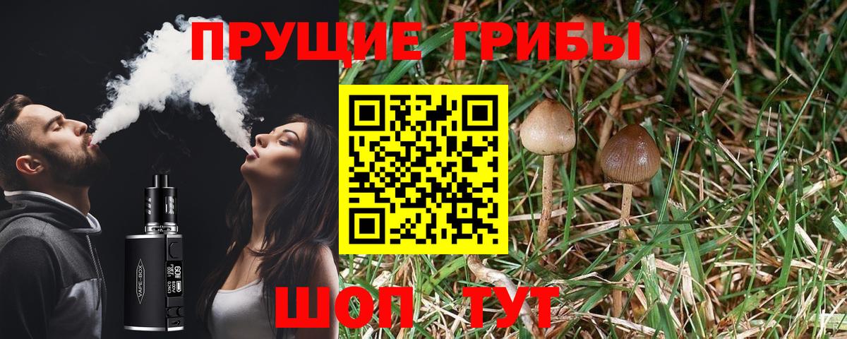 Галлюциногенные грибы мухоморы  Вход с VPN  Псилоцибиновые грибы Psilocybe  Тимашёвск 