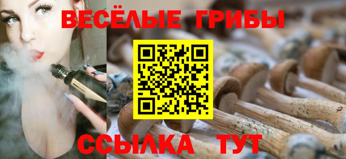 Alpha PVP Тимашёвск
